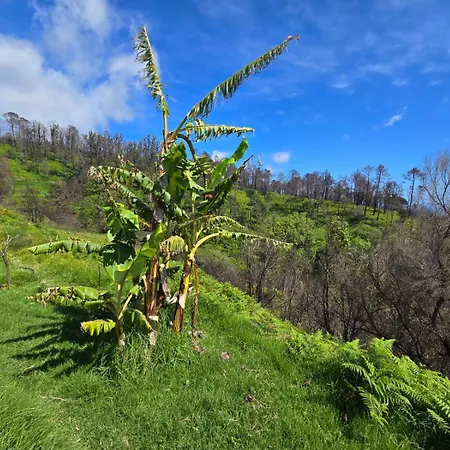 Horizon Retreat * Calheta (Madeira)