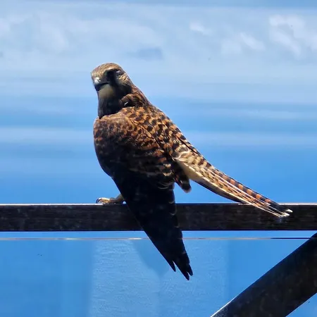 Habitación en casa particular Horizon Retreat