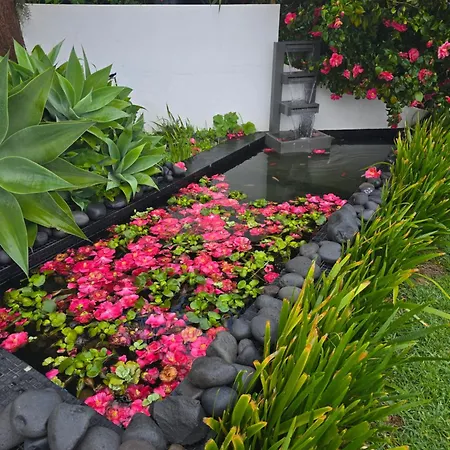 Horizon Retreat Habitación en casa particular Calheta (Madeira)