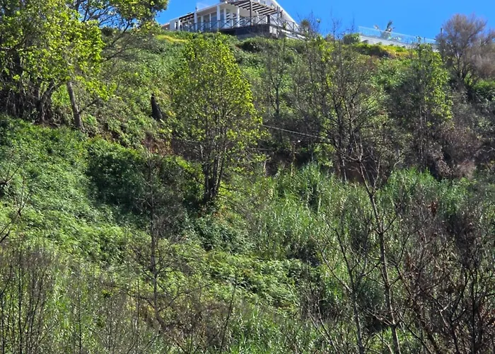 Horizon Retreat * Calheta (Madeira)