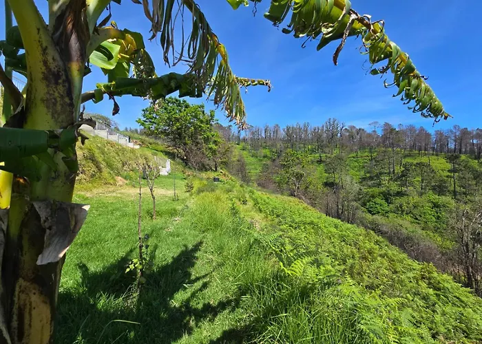 Horizon Retreat Homestay *