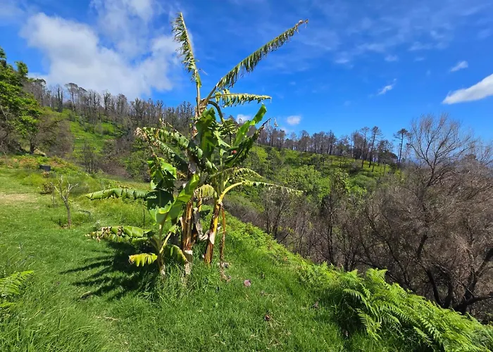 Horizon Retreat * Calheta (Madeira)