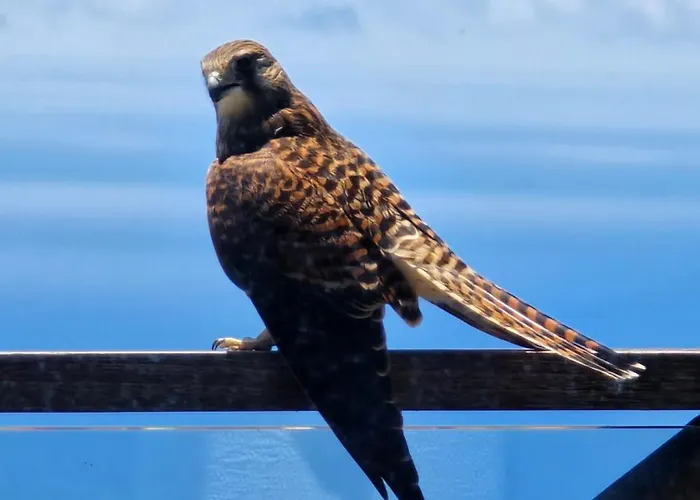 Séjour chez l'habitant Horizon Retreat