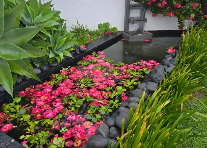 Horizon Retreat Homestay Calheta (Madeira)